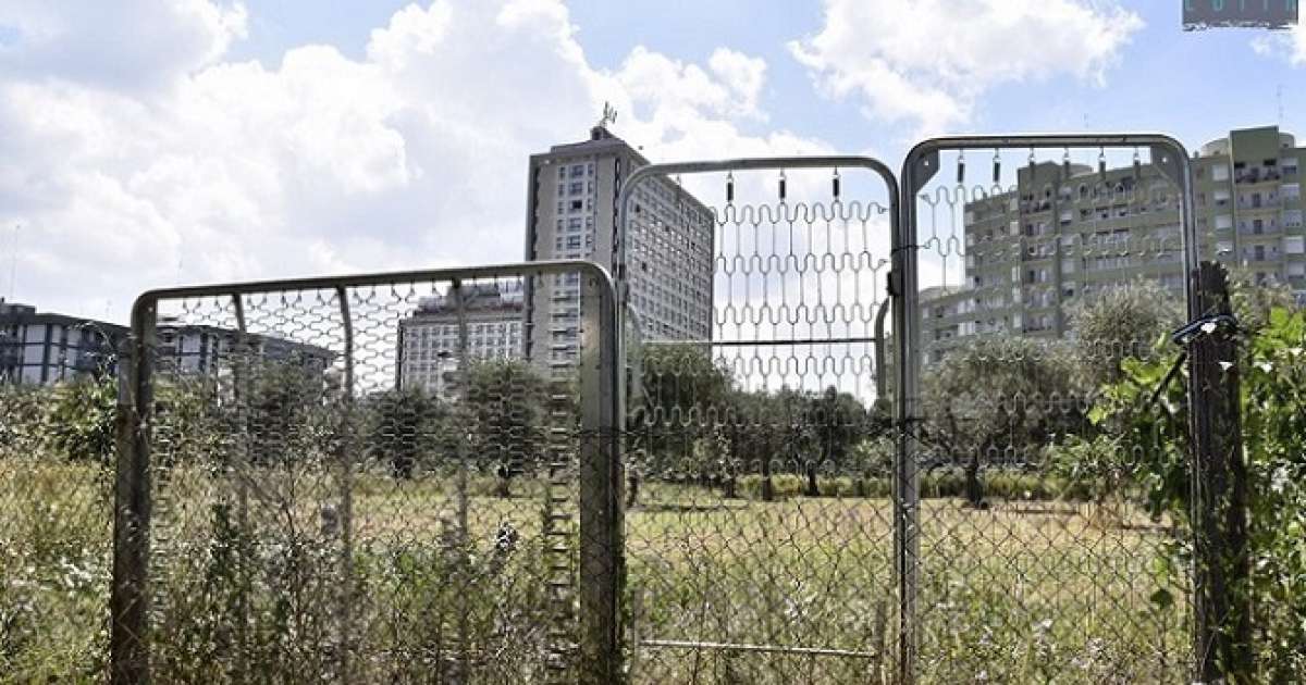 Orti all'ombra dei grattacieli: Poggiofranco, dove cemento e verde convivono in sintonia